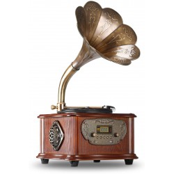Record Master RMJ-209C Gramofon Pikap - Radyo - Bluetooth - USB - 33, 45 Devir Plak Çalar*