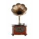 Record Master RMJ-209C Gramofon Pikap - Radyo - Bluetooth - USB - 33, 45 Devir Plak Çalar